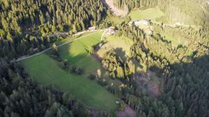 an aerial view of a house in the middle of a forest at Gladerhof in Zwickenberg