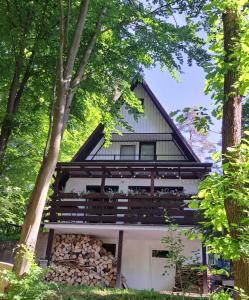 a house surrounded by trees with a pile of logs at Chata Ružín-Rolova Huta in Margecany
