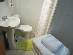 a bathroom with a sink and a toilet and a shower at Apartamento Bordeluna in Coihaique +56 photos