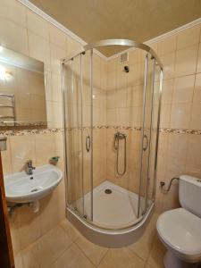 uma casa de banho com um chuveiro, um lavatório e um WC. em Barvy Karpat em Slavske