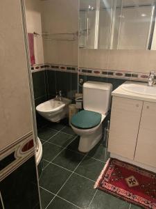 La salle de bains est pourvue de toilettes et d'un lavabo. dans l'établissement La maison du lac, à Lutry