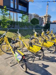 Fotografia z galérie ubytovania Apartamenty Ceglana Park -parking w hali garażowej- piękne nowe osiedle v Katoviciach
