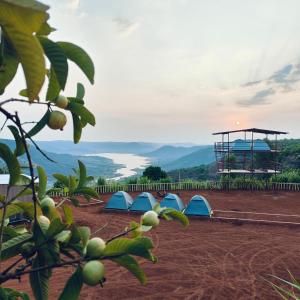 a group of tents on a hill with a basketball hoop at Yuva Yatri Campsite in Mahabaleshwar