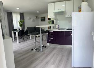 Kuchyňa alebo kuchynka v ubytovaní Villa Bubalo