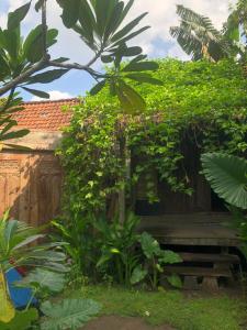 JarakanOmah Guyub 2的一座花园,在一座建筑前设有长凳