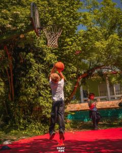 un chico está clavando una pelota de baloncesto en un aro en Casă din povești în mijlocul naturii! en Arad