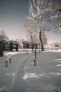 Un parque cubierto de nieve con un árbol y edificios. en RentUp - Experimenta la belleza de San Martin de los Andes, en San Martín de los Andes