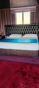 Ce lit se trouve dans un dortoir doté d'un tapis rouge. dans l'établissement Desert heart camp, à Wadi Rum