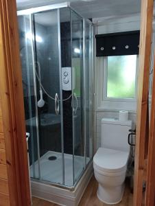 馬漢萊斯的住宿－Comfy Secluded Cabin，一间带卫生间和玻璃淋浴间的浴室