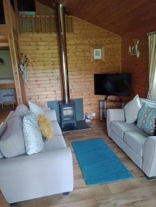 馬漢萊斯的住宿－Comfy Secluded Cabin，客厅配有白色沙发和燃木炉。