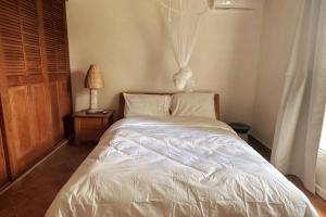 a white bed in a bedroom with a window at Carré Vert Guadeloupe Villa Privée Piscine in Gourbeyre +20 photos