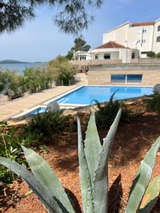 Πισίνα στο ή κοντά στο Olive House Pirovac