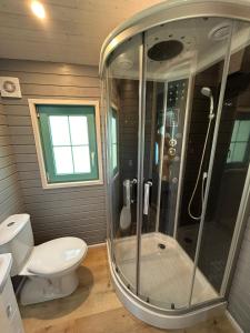 a bathroom with a shower with a toilet and a sink at La Bohème in Merendree