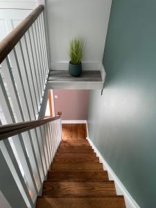 GortatleaSeán Ógs House的相册照片
