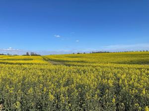 Paesaggio naturale nelle vicinanze della casa vacanze