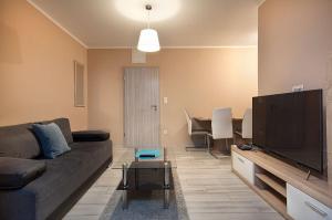 een woonkamer met een bank en een flatscreen-tv bij Rooms & Apartments Banjac in Maribor