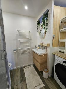 a bathroom with a sink and a mirror at Duplex dans maison de village in Cagnes-sur-Mer