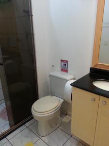 a bathroom with a toilet and a shower and a sink at APART HOTEL MANAUS 10 Pessoas 4 Quartos in Manaus +31 photos