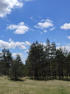 een veld met bomen en een blauwe lucht met wolken bij Zimska idila Divcibare in Divčibare