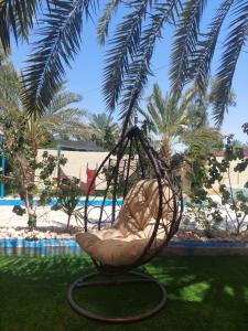 a swing hanging from a palm tree near a pool at villa Rima in Shūnat Nimrīn