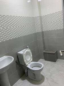 ein Bad mit einem WC und einem Waschbecken in der Unterkunft La maison du lac in Alger