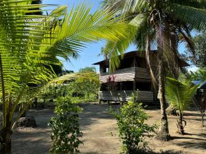 ein Haus mit einer Palme davor in der Unterkunft HOSPEDAJE DOÑA NEL in El Valle