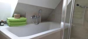 a bathroom with a shower and a green towel at Ferienwohnungen Urlaubsglück in Kurort Gohrisch +8 photos