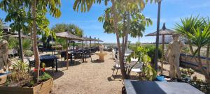 Vonkajšia záhrada v ubytovaní Homes of Spain, Apartamentos Paraiso Vera Playa, Ed Tahiti, Atico F de 2 dormitorios con piscina privada en solárium y barbacoa, pie de playa