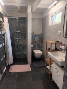 y baño con ducha, aseo y lavamanos. en Randy's House Plzeň en Plzeň