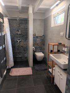 a bathroom with a shower and a toilet and a sink at Randy's House Plzeň in Pilsen +39 photos