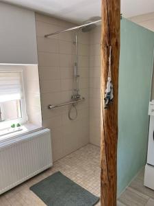 a bathroom with a shower with a window and a shower at Ferienidylle Oberlausitz in Arnsdorf