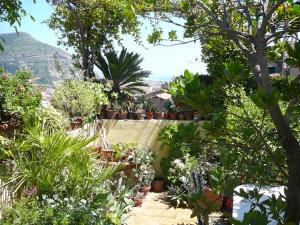 a garden with potted plants and a mountain in the background at La Terrazza dei Pelargoni B&B in Ventimiglia