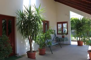Zahrada ubytování Boulevard Garden House - Free and save parking in the locked yard