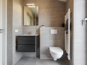 een badkamer met toilet en wastafel bij Cottage in Wissenkerke near Banjaard Beach in Wissenkerke +32 foto's