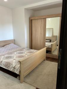 a bedroom with a bed and a large mirror at Apartmani Planinska Idila in Bar +36 photos