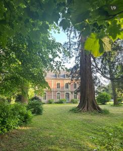 a large house with a large tree in the yard at Les séquoias géants in Saint-Martin-aux-Arbres