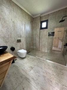 a bathroom with a shower and a toilet and a sink at Primland Suit in Çamlıhemşin