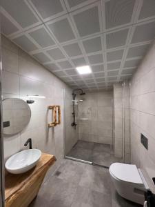 a bathroom with a toilet and a sink and a shower at Primland Suit in Çamlıhemşin