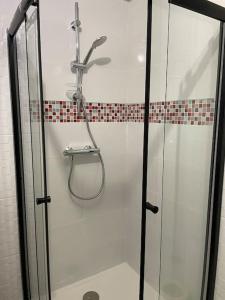 een douche met een glazen deur in de badkamer bij Belle des champs - Loft avec spa in Labruguière
