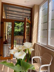 Et opholdsområde på Vila Panto + 38 billeder