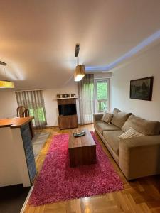a living room with a couch and a pink rug at Unikat Zlatibor 2 in Palisad +4 photos