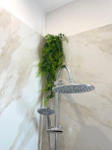 ein Waschbecken mit einem Wasserhahn und einer Pflanze in der Unterkunft Barù home in centro in Palermo + 16 Fotos