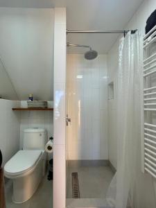 a bathroom with a toilet and a shower at La Ritoqueña Hotel de Playa in Concón