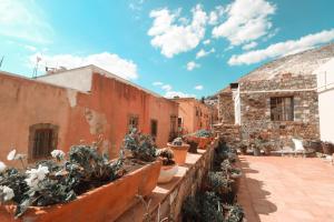 a courtyard with a bunch of potted plants at Mesón de la Abundacia in Real de Catorce