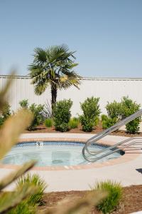 a swimming pool with a palm tree in front of a building at River Lodge Paso in Paso Robles
