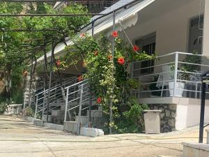 科帕罗Qeparo View Rooms的一座建筑的侧面是红花