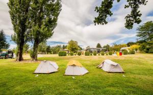 Zahrada ubytování Te Anau Lakeview Holiday Park & Motels