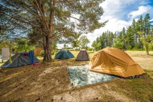 Fotografie z fotogalerie ubytování Te Anau Lakeview Holiday Park & Motels v destinaci Te Anau