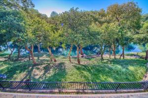 a park with a bunch of trees on a hill at River Zen CW C207 in New Braunfels