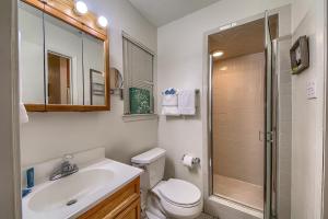 a bathroom with a toilet and a sink and a shower at CRC 317 Timeless Tranquility in New Braunfels +19 photos